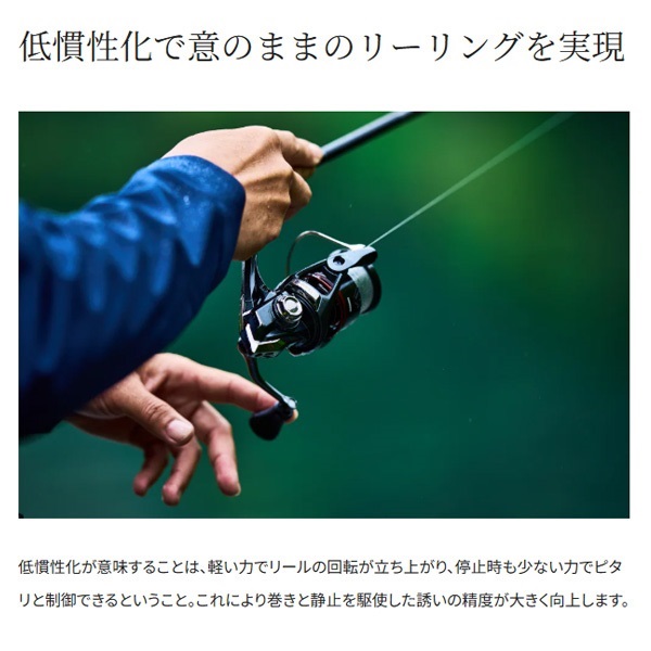 24ヴァンフォード